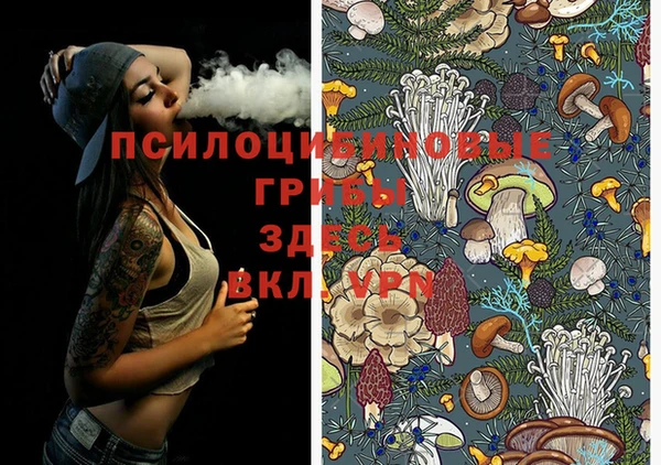 тгк Козловка