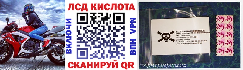 Купить где  Заполярный  Марки 25I-NBOMe 1,8мг 
