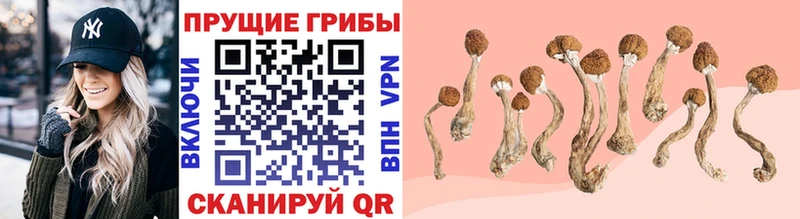 Купить закладки  Заполярный  Псилоцибиновые грибы прущие грибы 